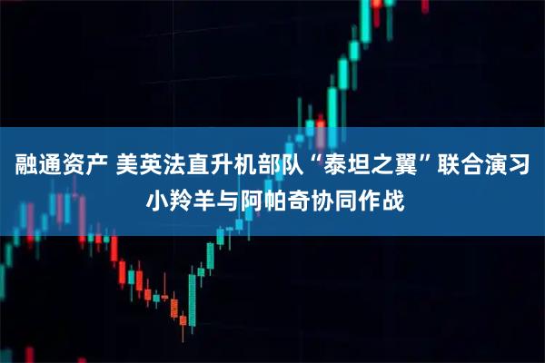 融通资产 美英法直升机部队“泰坦之翼”联合演习 小羚羊与阿帕奇协同作战