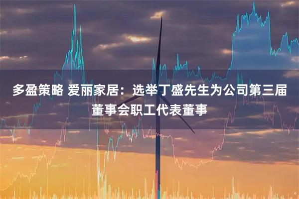多盈策略 爱丽家居：选举丁盛先生为公司第三届董事会职工代表董事
