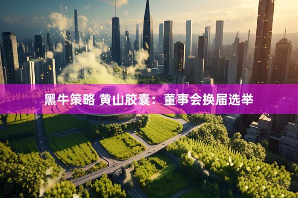 黑牛策略 黄山胶囊：董事会换届选举