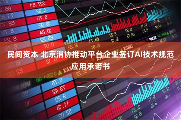 民间资本 北京消协推动平台企业签订AI技术规范应用承诺书