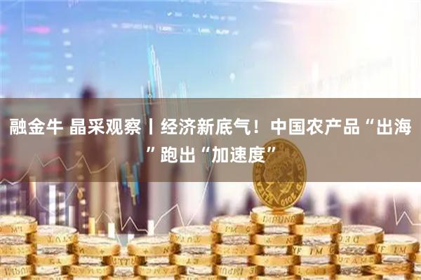 融金牛 晶采观察丨经济新底气！中国农产品“出海”跑出“加速度”