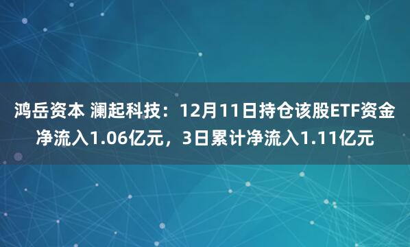 鸿岳资本 澜起科技：12月11日持仓该股ETF资金净流入1.06亿元，3日累计净流入1.11亿元