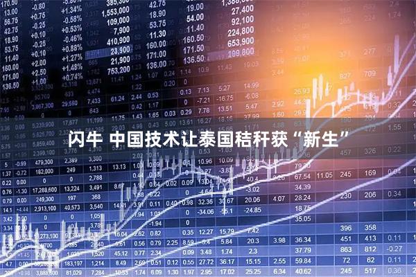 闪牛 中国技术让泰国秸秆获“新生”