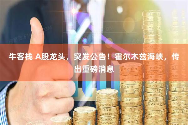牛客栈 A股龙头，突发公告！霍尔木兹海峡，传出重磅消息
